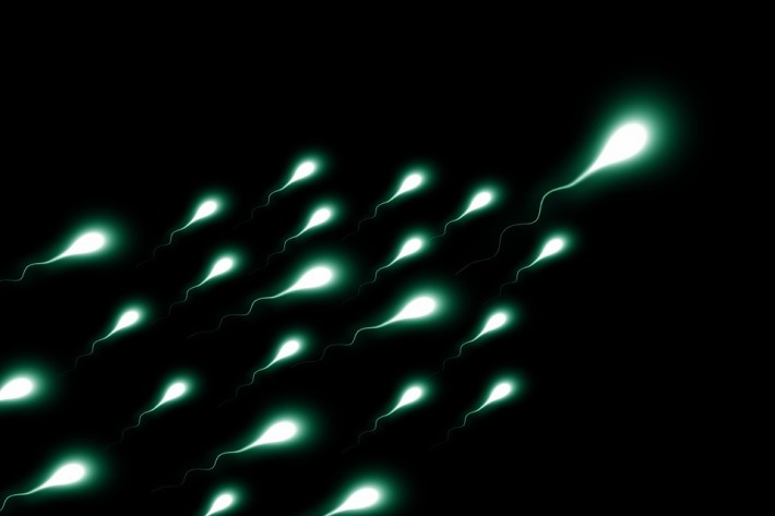 fertilità