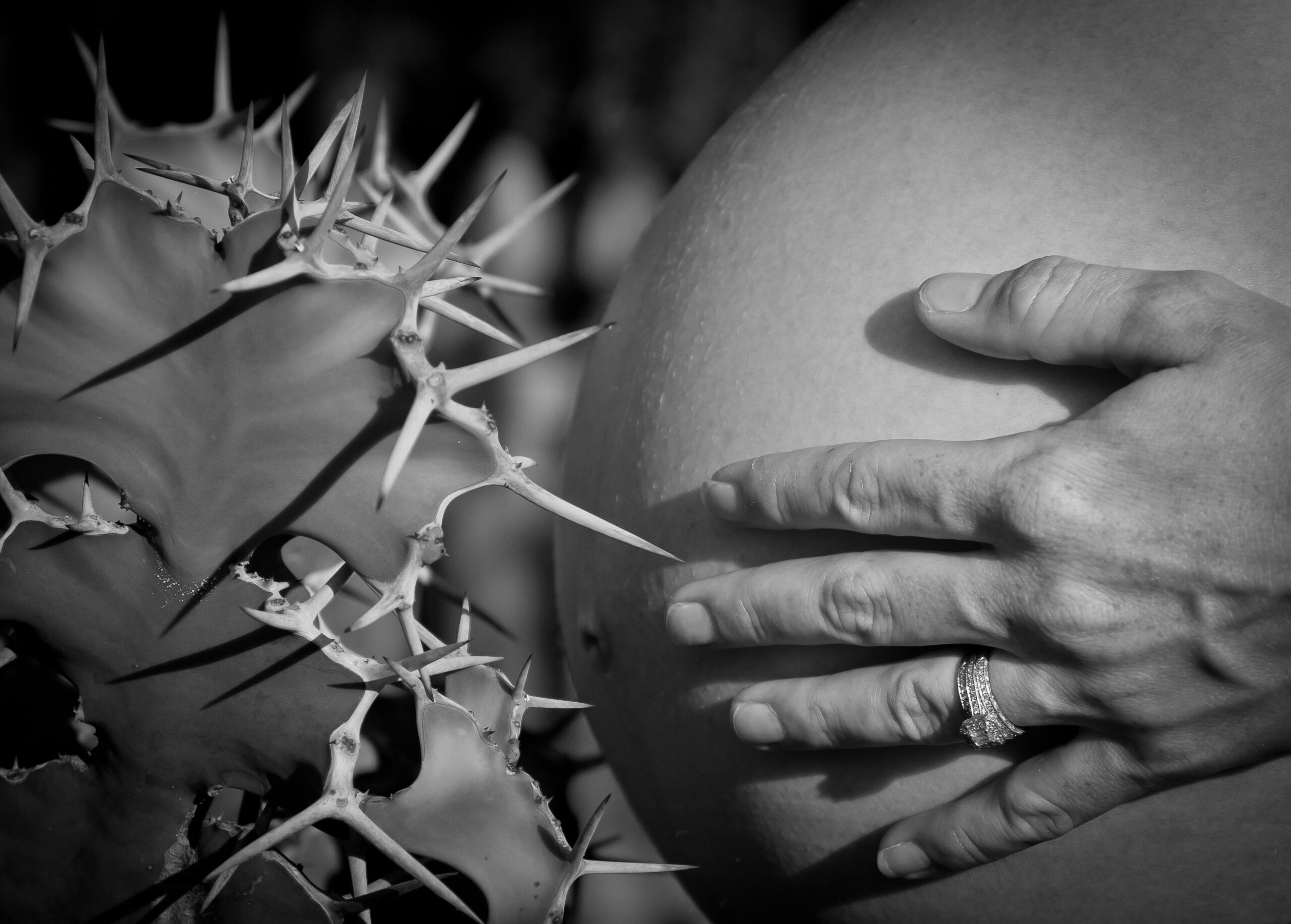 Chi manifesta tratti di psicopatia è più propenso ad avere più figli e in età più precoce. Al contrario, il sadismo è collegato a un minor numero di figli e a una genitorialità tardiva